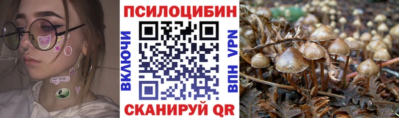 Галлюциногенные грибы Psilocybe  Приозерск 
