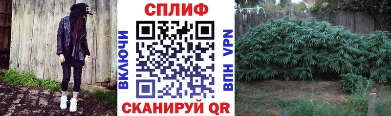 Бошки марихуана сатива Приозерск